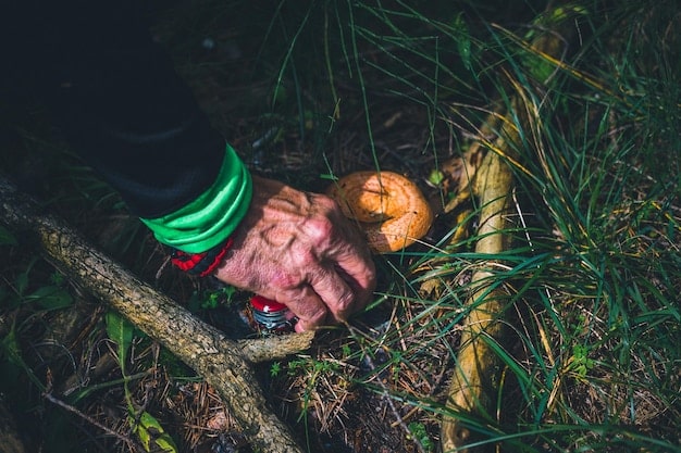Geralt lying injured after the coup, receiving care from a mysterious group of Dryads in a forest clearing. The image captures his pain and vulnerability amid the natural setting.