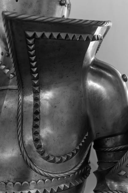A close-up shot of a Nilfgaardian soldier's armor, showcasing the intricate details and imposing design. The armor has a dark, metallic sheen and is adorned with sharp, angular plates.