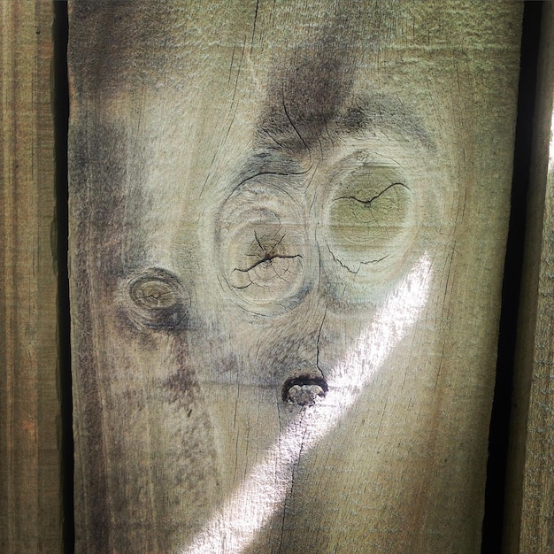 A detailed close-up of a leshen, its wooden face etched with ancient wisdom, standing in a sun-dappled forest clearing. The atmosphere is mystical and serene, hinting at the creature's deep connection to nature.