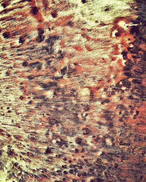 A detailed macro photograph of foxing spots on the aged pages of a comic book, highlighting the rusty, irregular patterns and the texture of the affected paper.