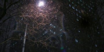 New Study: 70% of Americans Believe in Paranormal Phenomena - Cover Image