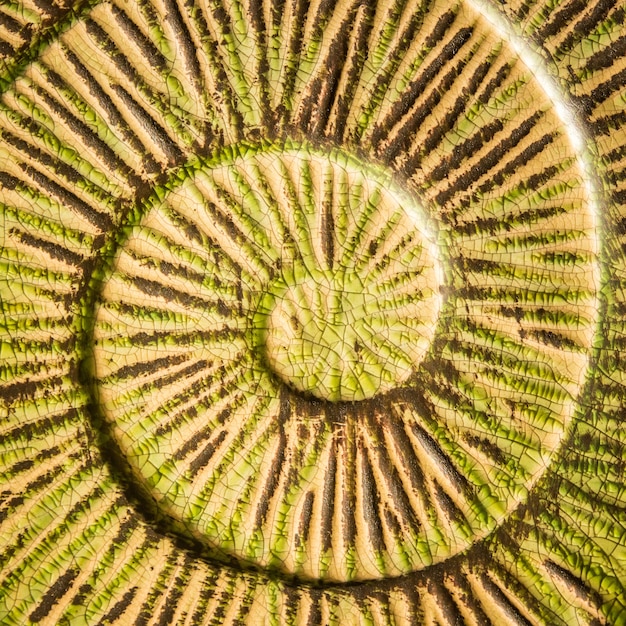 Close-up of flattened crops within a crop circle, showing the intricate swirling patterns and the lack of broken stems, indicating a gentle bending rather than a forceful crushing of the plants.