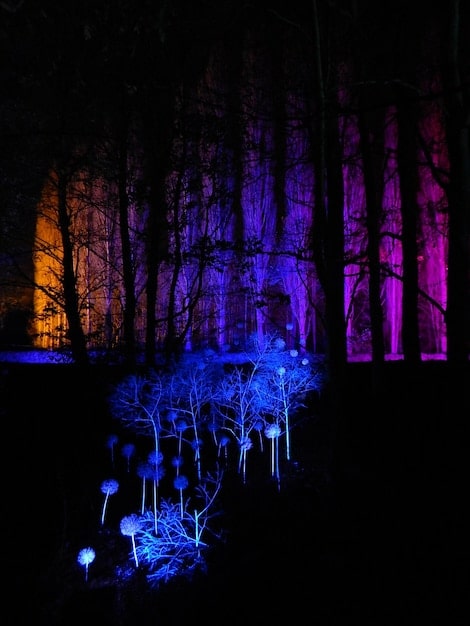 A digital rendering of an artist's depiction of the Rendlesham Forest Incident, showing glowing lights in a dense forest at night, with military personnel observing the scene, highlighting the eerie and mysterious nature of the event.