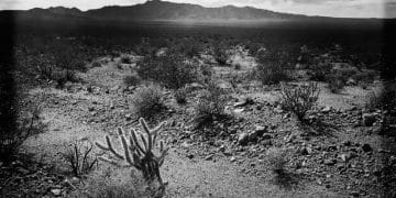 Roswell Incident: New Evidence Surfaces After 75 Years? - Cover Image