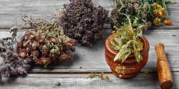 Herbalism in the 21st Century: A Review of Medicinal Herbs & Occult Properties - Cover Image