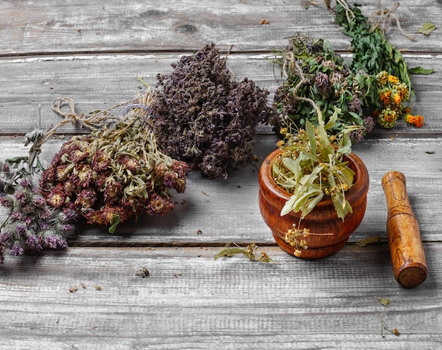 Herbalism in the 21st Century: A Review of Medicinal Herbs & Occult Properties