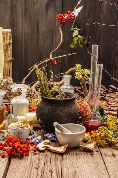 A collection of dried herbs and crystals arranged on a wooden tabletop, representing the tools and ingredients used in witchcraft for healing and self-care.