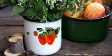 Kitchen Witchery: 5 Herbs to Elevate Your Cooking & Magick - Cover Image