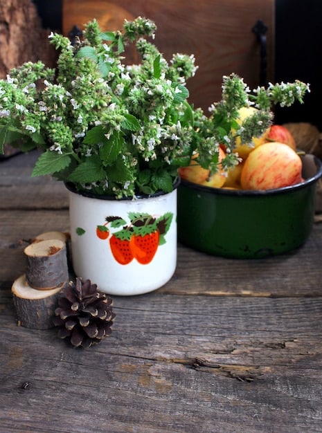Kitchen Witchery: 5 Herbs to Elevate Your Cooking & Magick