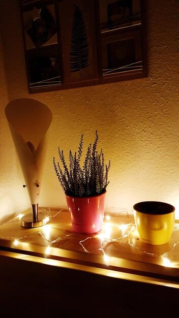 A sunlit windowsill transformed into a small altar, adorned with potted plants, small crystals, and a simple candle. The light filters through sheer curtains, casting a soft glow over the arrangement.