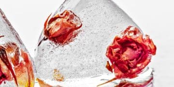 Unlock Ancient Healing: Crystal Elixirs Recipes & Safety (2025) - Cover Image