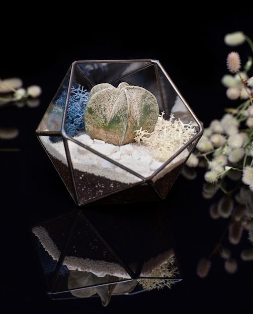 Unlock Crystal Grids: 3 Advanced Layouts for Your Goals