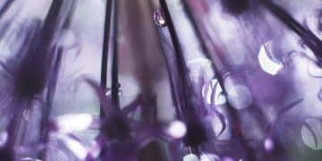 The Science of Crystal Healing: Exploring Energetic Properties in 2025 - Cover Image