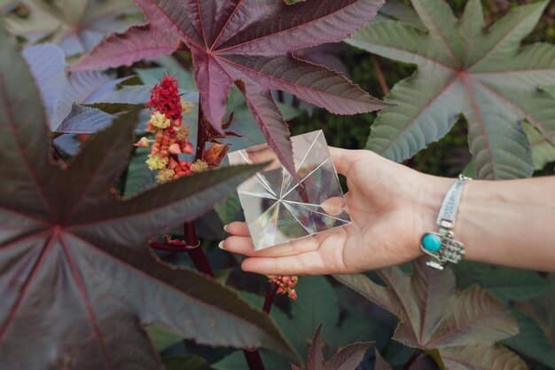 How to Use Crystals for Protection: A Guide for the US