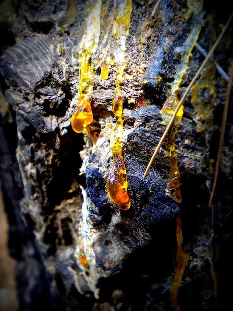 A close-up shot of a miner carefully extracting crystals from a rock formation in a US mine. The image emphasizes the worker's dedication and the meticulous process involved in ethical crystal mining.