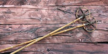 The Science of Dowsing: Exploring Water Divining and Its Mysteries - Cover Image