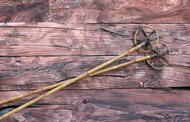 The Science of Dowsing: Exploring Water Divining and Its Mysteries