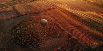 Unraveling the Enigma: The Mystery of Crop Circles Examined - Cover Image