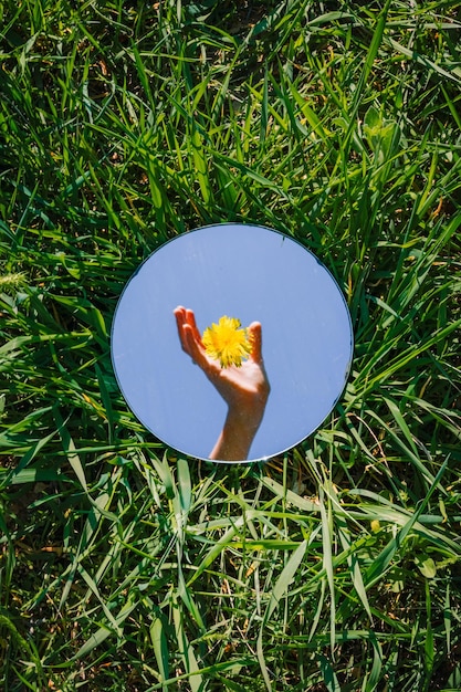 A picture showcasing a person holding up a drawing of a crop circle design next to an actual crop circle to compare the image to the real thing. The Mystery of Crop Circles: Are They Alien Messages or Elaborate Hoaxes? Examining the Evidence is clearly a part of what's being examined.