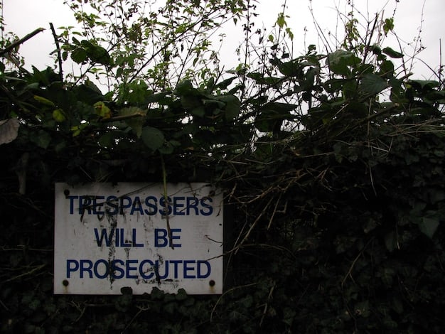 A close-up shot of a 