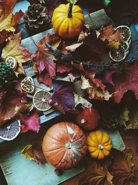 A collage of images representing each of the eight Sabbats: Samhain (pumpkins, autumn leaves), Yule (evergreen tree, candles), Imbolc (snowdrops, milk), Ostara (eggs, flowers), Beltane (maypole, flowers), Litha (sunflowers, herbs), Lammas/Lughnasadh (bread, wheat), and Mabon (cornucopia, autumn leaves). The phrase 'Celebrating the Sabbats: Honoring the Wheel of the Year and Seasonal Energies' is subtly overlaid.